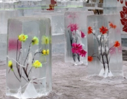 Цветы во льду М